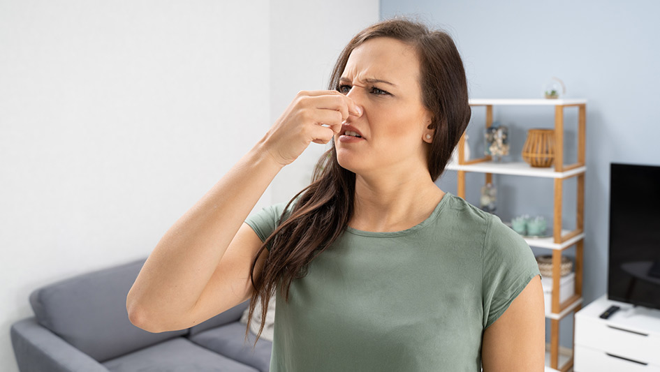 Six Common Air Conditioner Smells Decoded and How to Fix Them